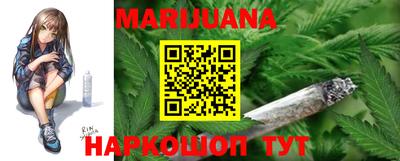 a pvp Кингисепп