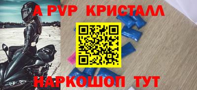 a pvp Кингисепп