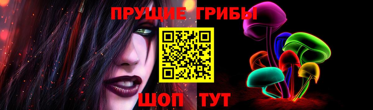 Галлюциногенные грибы Psilocybe Кызыл