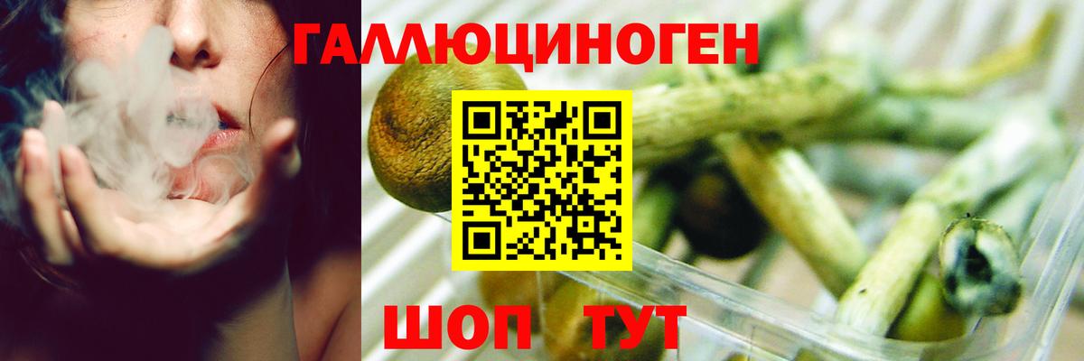 Галлюциногенные грибы прущие грибы  наркотики  Кызыл  Галлюциногенные грибы ЛСД  Вход с VPN 